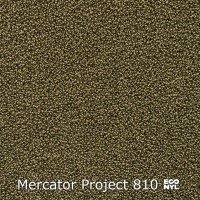 Mercator Project-Econyl 810